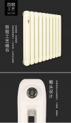 明裝散熱器十大品牌有哪些優(yōu)勢(shì)?
