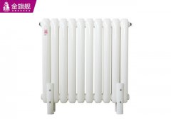 鋼制暖氣片6030新型平頭